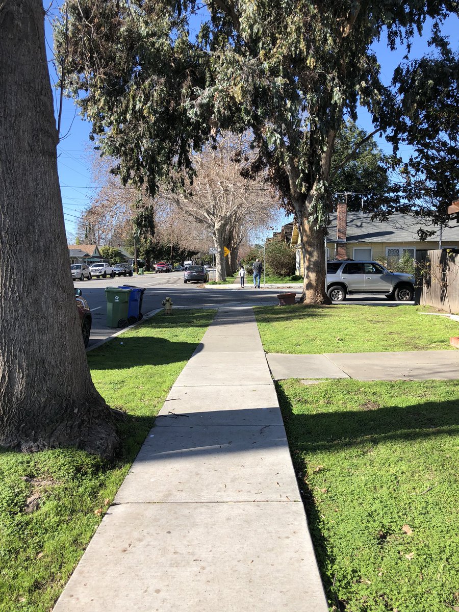 JudeSilva4's tweet photo. It’s a chilly winter morning here in Northern California and yet the neighborhood fruit trees are in full bloom! https://t.co/0FUb6hOe9r