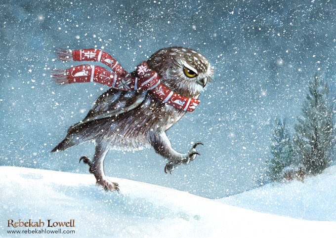 Hey @Clr_Collective! It’s been awhile. Grumpy Owl is stomping in to close out 2019 with you. ❄️🦉❄️ #colour_collective #kidlitart #illustration #burrowingowl