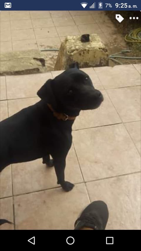 LasIndignadas's tweet photo. #AdoptaNoCompres #Concon #RenunciaPiñera https://t.co/eRk8noLnXa