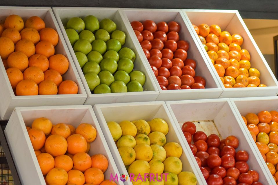 mujermujeruy's tweet photo. ¡Llegó el verano! Y todas las verduras para comer en ensaladas bien frescas y frutas para hacer los mejores licuados las encontrás en Mora Frut.
📍 Avenida Brasil 2838 Esquina Santiago Vázquez
☎ 27095977-092335673
📩 morafrutpocitos@gmail.com https://t.co/cjUTnzV0YK