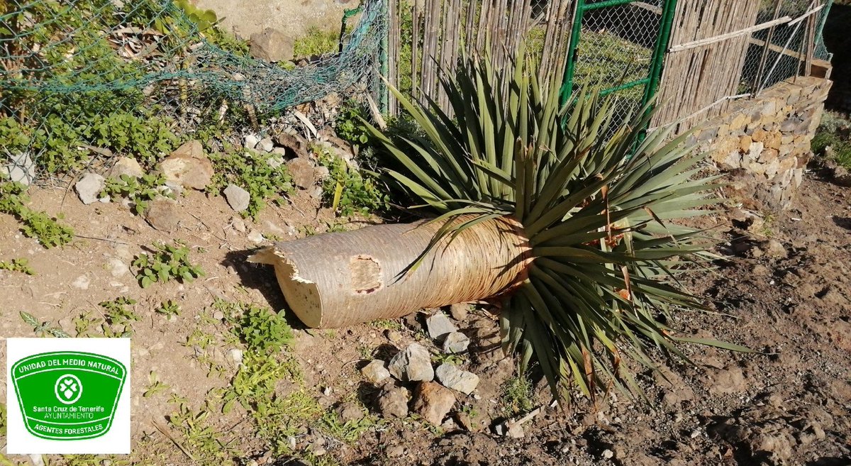 Unidad Medio Natural tweet media