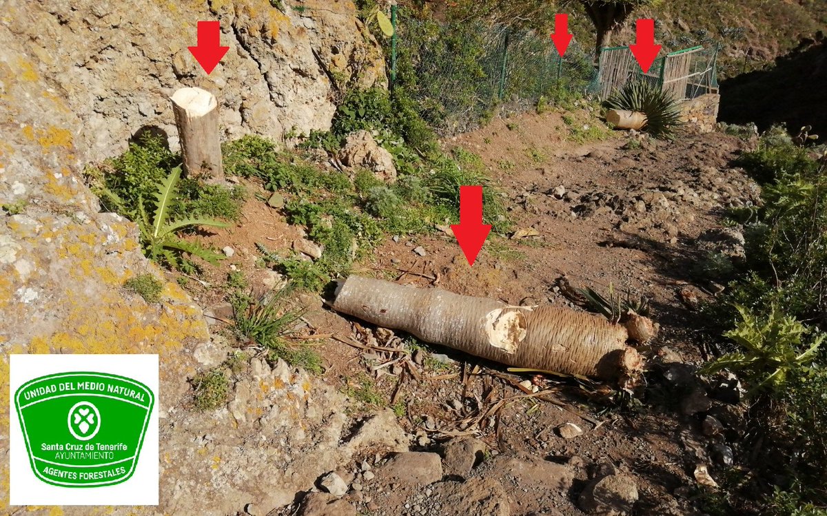 Unidad Medio Natural tweet media