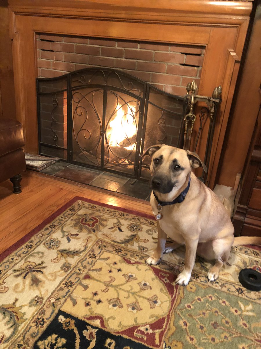 MuralStreetBrew's tweet image. Beer coming soon