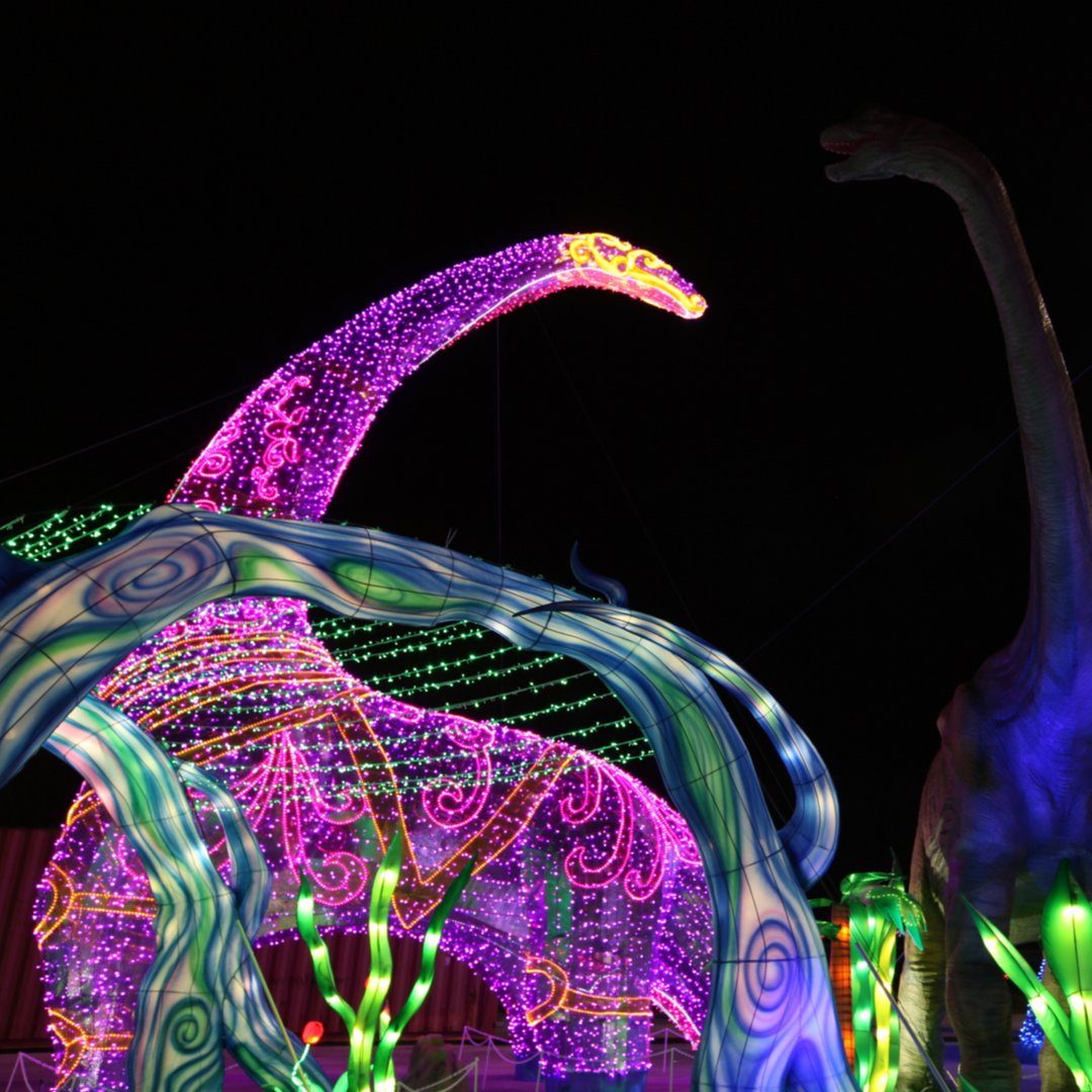 MWLHouston's tweet photo. Did you know dinosaur fossils were first discovered in the same province in China that our lanterns come from? Walk with giants at Magical Winter Lights!

Buy tickets at https://t.co/uR5dT623K9

#magicalwinterlights #houstonfestival #holidaysinhouston #galvestonfestival https://t.co/ybz3tyIIrF