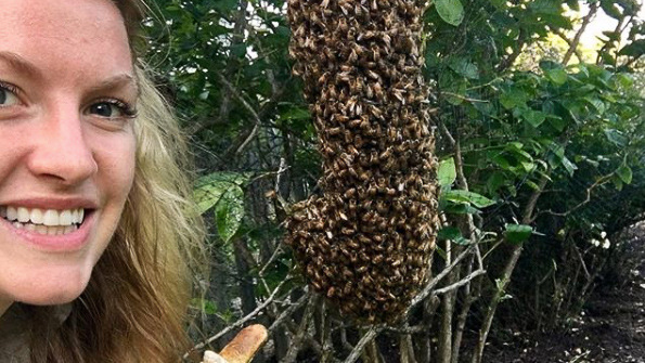FarmBureau's tweet photo. Meet #AgInnovationChallenge finalist &amp; @FarmBureauMD member Dawn Musil. Hivelend is an online platform that connects beekeepers &amp; farmers for sustainable pollination. By ensuring farmers &amp; beekeepers are supported with healthier crop yields, Hivelend's helping to feed the future. https://t.co/5d4Vd1kFaS