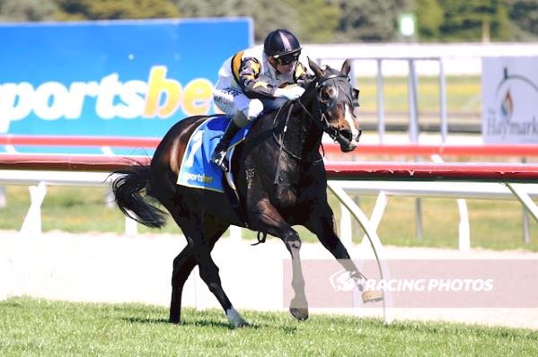 Cloud9Tbreds's tweet photo. 2 runners represent @Cloud9Tbreds today @TheValley .. ☁️9️⃣️
🔹R3 - RED ALTO
🔹R7- IT'S KIND OF MAGIC 📸
All the best to connections!
#raceday #thevalley #horseracing #cloud9 #fortheowners #thoroughbred #fingerscrossed https://t.co/8UQBeaHojh