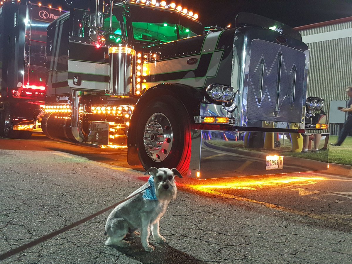IMFLEETMATTRESS's tweet photo. Fireworks upset the pup, so a truck light show will suffice for a Happy New Year. #fleetmattress #peterbilt #kenworth #macktruck #volvotruck #westernstartrucks #dogwood #freightliner #truckersedge #kenly95truckstop. Custom mattresses for semi-truck. https://t.co/77NfBDcWXJ https://t.co/FoZsoTkof3