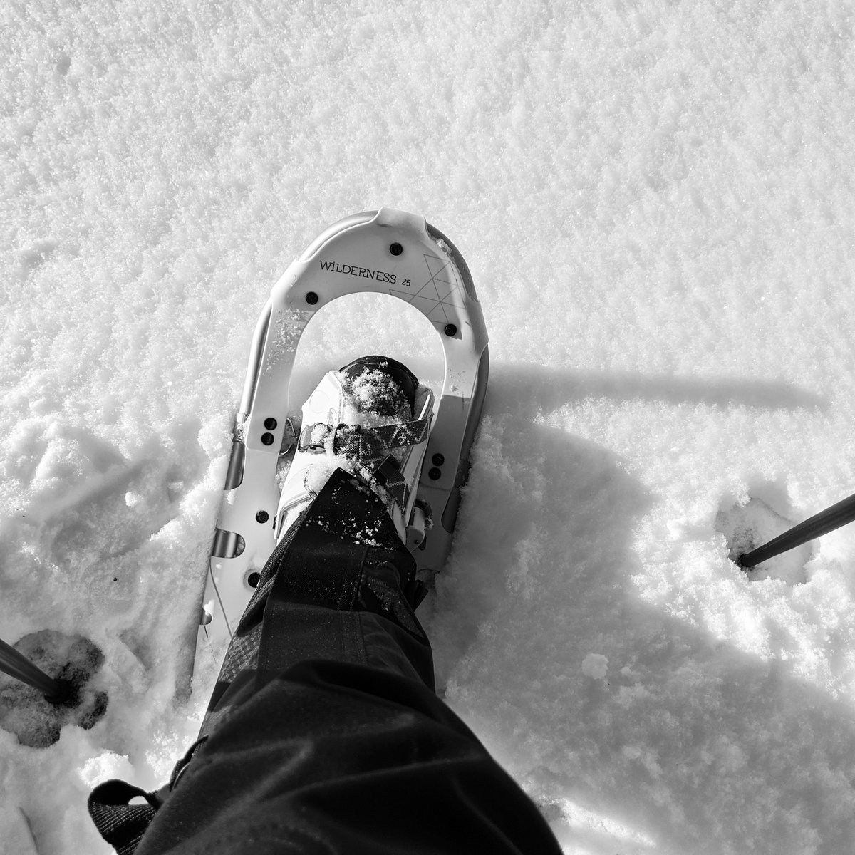 If I can't garden, I might as well enjoy the winter. Let is snow....but easy on that windchill! ❄️😊#Winter2019