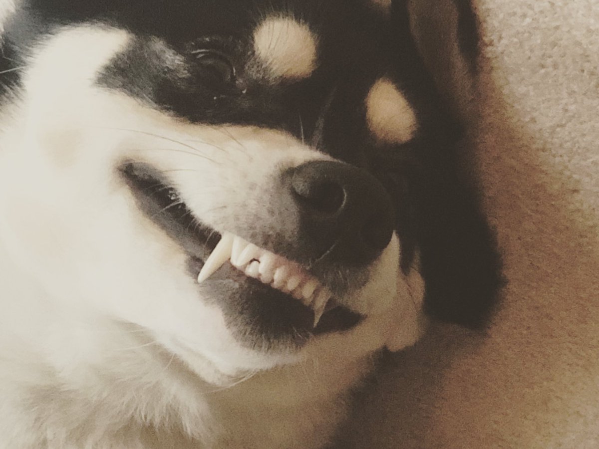 PlayhouseUS's tweet photo. Did someone say CHEESE? https://t.co/K9hv1nDWxU