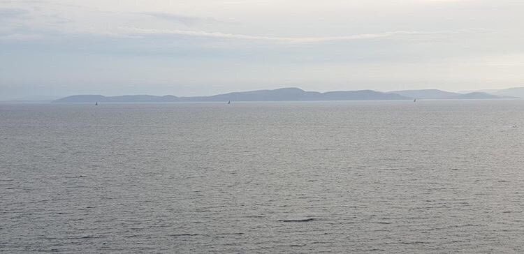 If you look closely you can see #Wildoatsxi Black Jack and Scallywag making our way to Hobart. <a href="/rshyr/">Rolex Sydney Hobart</a> 📷: <a href="/saltydingomedia/">Salty Dingo</a>