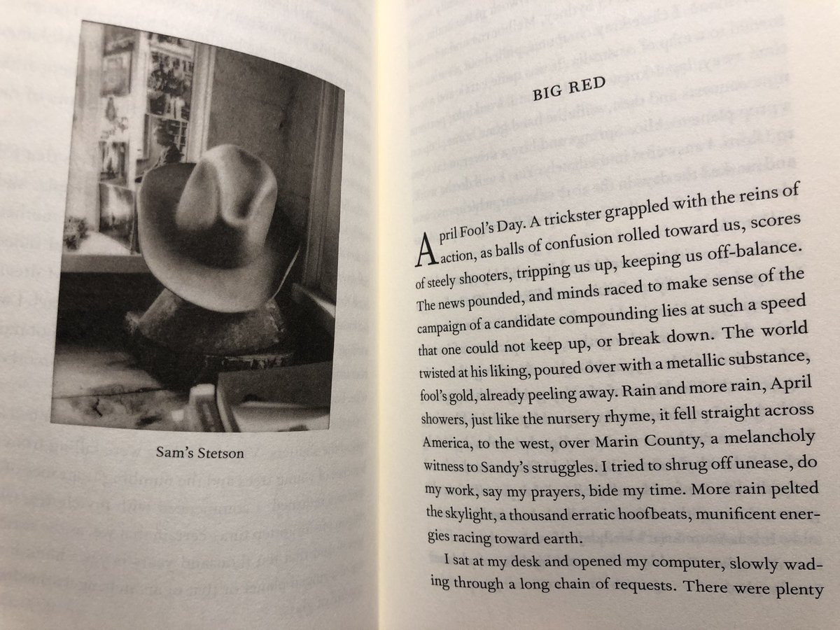 docNSC's tweet photo. @lucalemax @angelo_cennamo @fabriziocoppola @MerloFederica giusto per capire il livello di bellezza... da #pattismith #theyearofthemonkey (il cappello Stetson è quello di Sam Shepard edito in italia da @lanavediteseoed letto qualcosa @angelo_cennamo?) https://t.co/t2TtvxkfHV