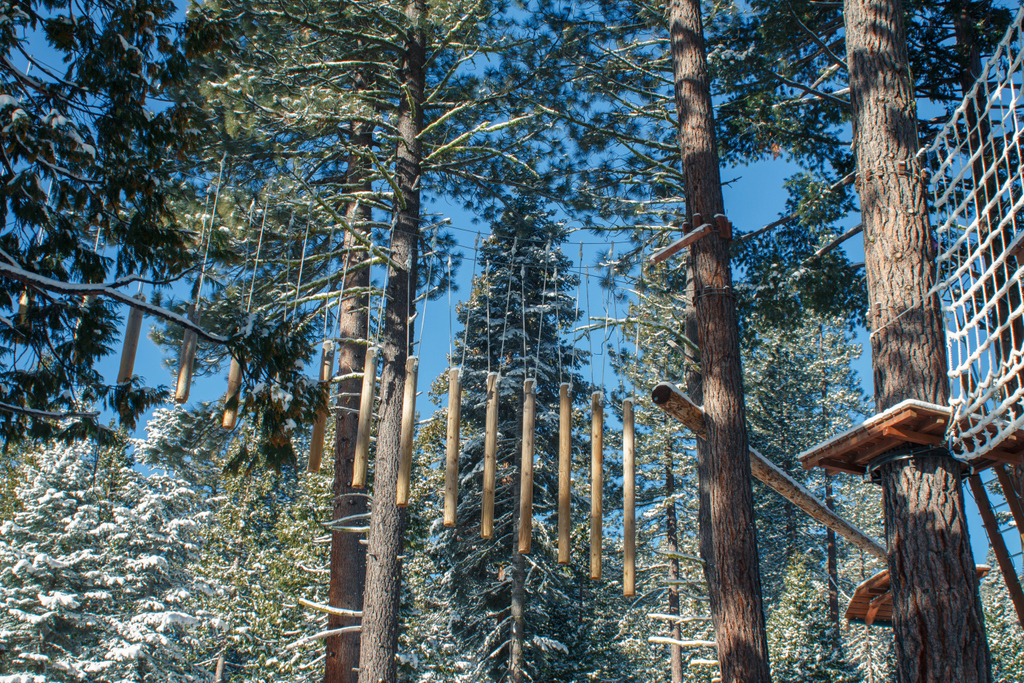 We're open in Tahoe City today, Tahoe Vista tomorrow, and Tahoe City again on Sunday! Book your session here: tahoetreetop.com

#treetoptime