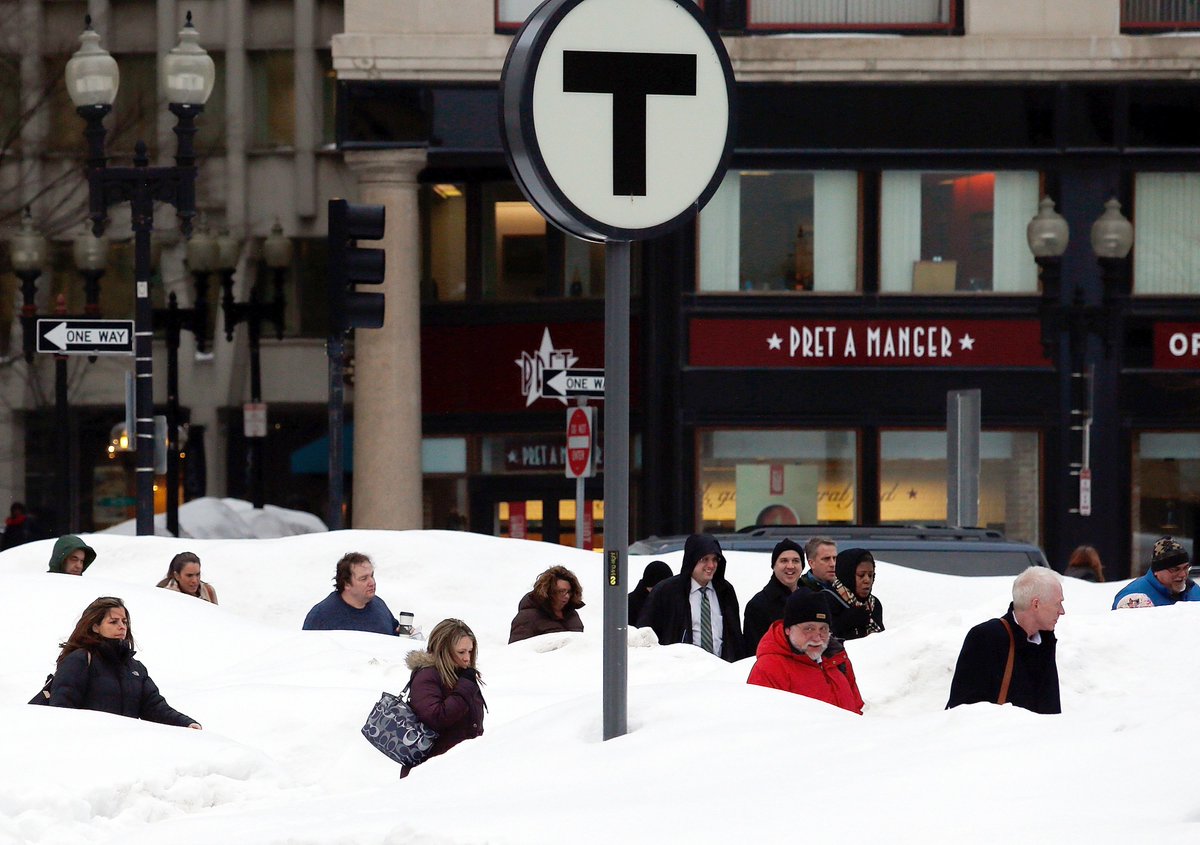 The Big Picture tweet media