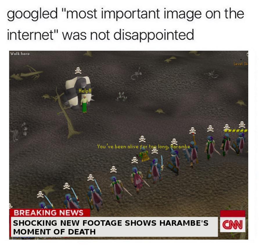 ShitpostBot5000's tweet photo. https://t.co/fXBycaVdpl