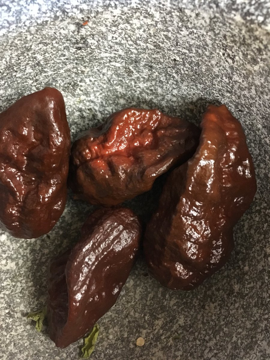 SuperhotSeeds's tweet photo. #7potbrownlong #Pepper #hotpeppers #pepperseeds #superhotseeds this #superhotpepper  has #greattaste and #extremeheat #hotchillis want #seeds heres where https://t.co/Zs2lcDRjkI https://t.co/LQDUrB4LUU
