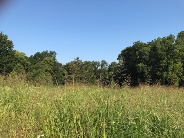 CityofShawneeKS's tweet image. Mark your calendars for January 15 to let us know what you'd like to see at the new park going in at 55th and Belmont Drive.

Full details here -- cityofshawnee.org/news/what_s_ne…