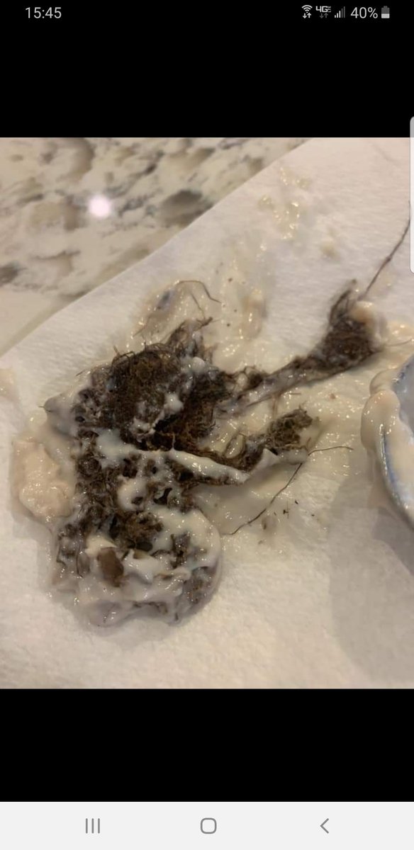 kelnolan4's tweet photo. This is a dead mouse found in a can of @CampbellSoupCo Cream of Mushroom Soup. @CampbellSoupCo is being less than helpful at making this situation right. #neverbuyingcampbellssoupagain
#disgusting https://t.co/DbaSQqVCFh