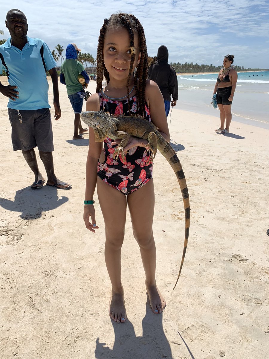 lisz0506x_'s tweet photo. My biggest flex of 2019 was able to celebrate my daughter’s birthday outside of the country and giving her the best 5 days of 2019. Did it all on my own for her smile in return. #DR2019 https://t.co/mUuMcZiNi1
