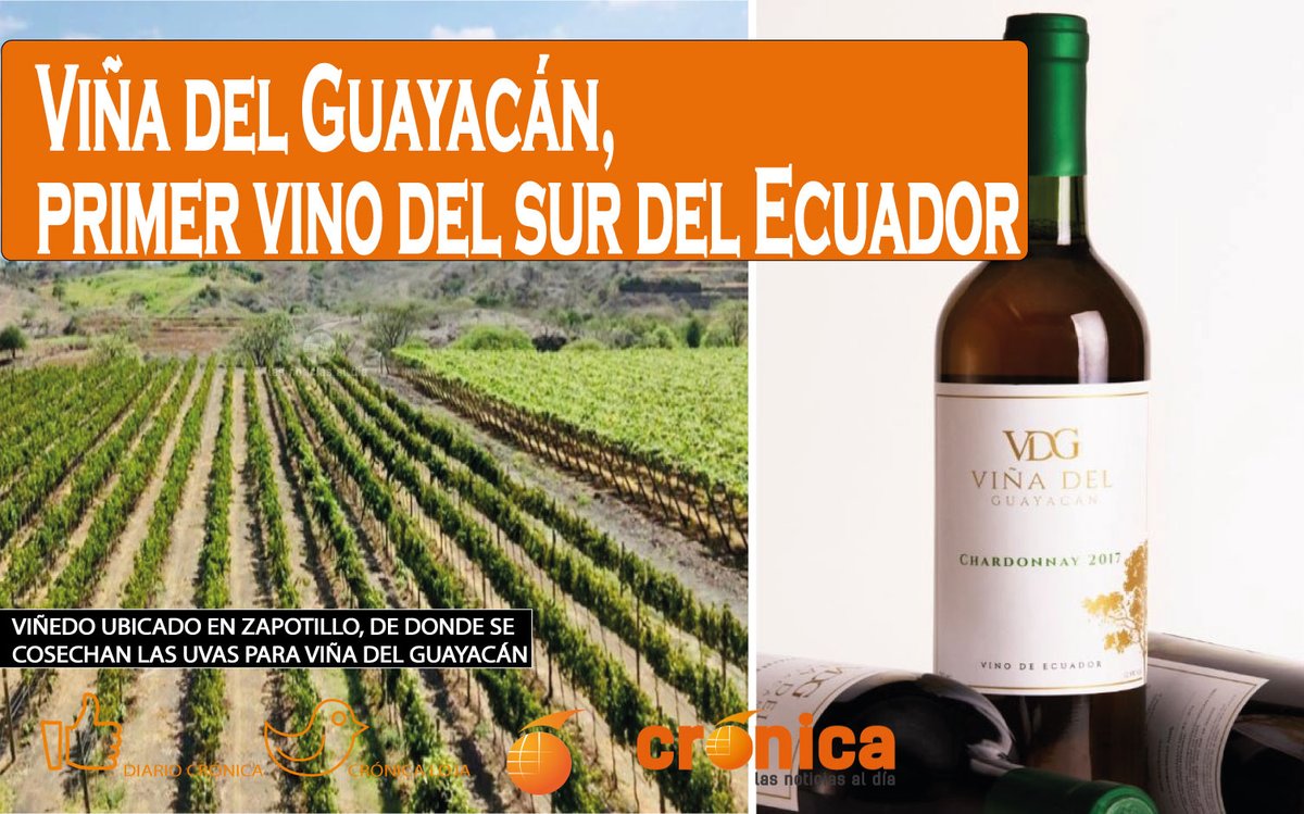 CronicaLoja's tweet photo. #ViñaDelGuayacán
Ya realizaron la 1era producción, actualmente hacen negocios para exportar el producto a Dubái. El viñedo está en #Zapotillo cerca de la zona de #florecimientoDeLosGuayacanes.  José Roberto Burneo y su padre llevan este emprendimiento...
https://t.co/uRUXSynYrK https://t.co/ZKzhq6iEau