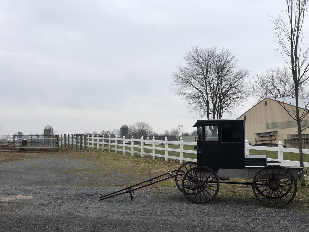 vickienatale's tweet image. .@AnellinaNatale in #Lancaster PA with her #mathhat. #yanggang The Amish are swing voters !