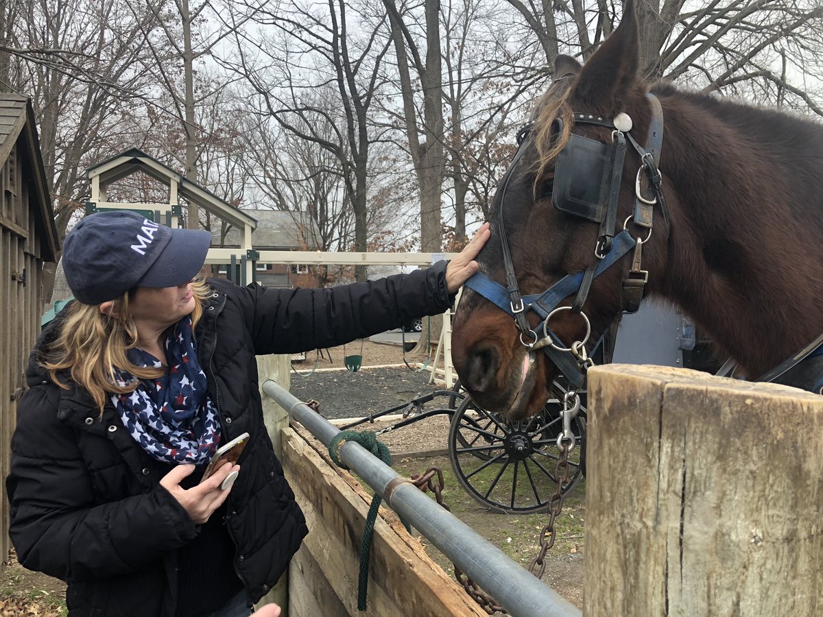 vickienatale's tweet image. .@AnellinaNatale in #Lancaster PA with her #mathhat. #yanggang The Amish are swing voters !