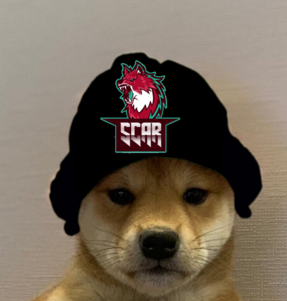 GothBoyzSinner's tweet photo. SCAR is now part of #dogwithhatgang https://t.co/8nvqI48FQB
