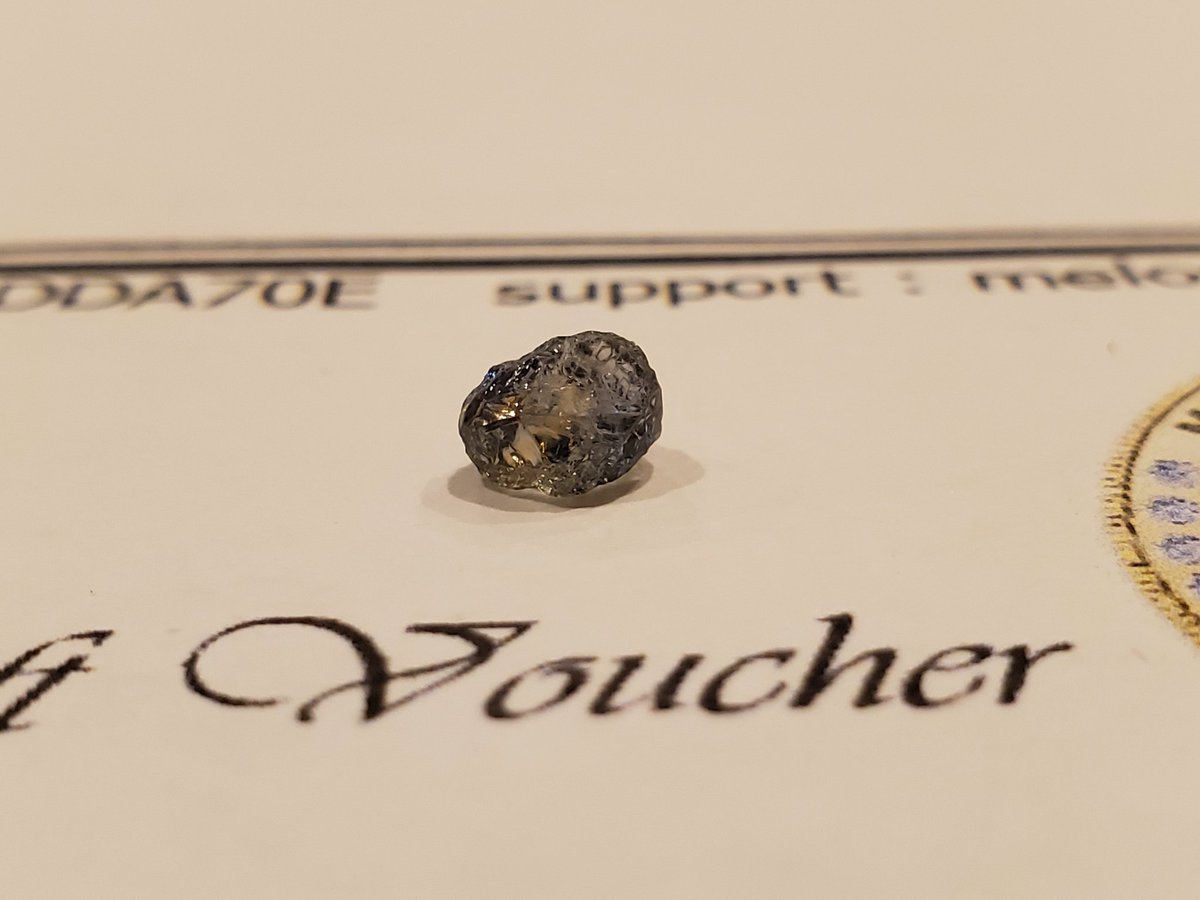 MHSP_Official's tweet image. Shipping starts again on January 4th 😉

#cryptogems #MHSP