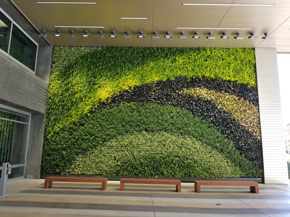 The BP America campus in Houston, TX was one of our favorite green wall installs of the year🌿🌱💚 

#KEEPitREAL #PEOPLETHRIVE #Natura #GreenWall #greenwalldesign #livingwall #livingwallsystem #BP #BPAmerica #HoustonTX #Texas