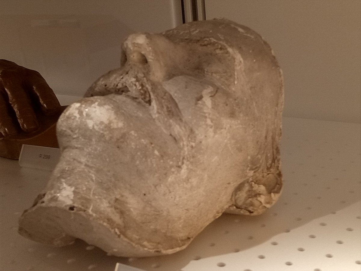 MsLisaHerbert's tweet image. 😵📙 You won’t only find Henry Lawson’s poetry and short stories in a library. I stumbled on his DEATH MASK during a visit to the @statelibrarynsw. He died from a stroke in 1922. #deathmask #poetry #library
thebottomdrawerbook.blog/2019/12/27/boo…