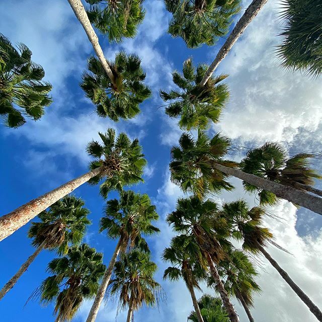 MichaelRealty's tweet image. 🌴Friday🌴 ift.tt/2QCOU4z