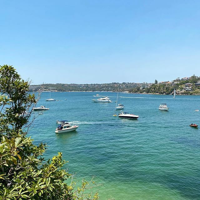 thatagestyle's tweet photo. Did the Manly to Spit walk this morning, after an amazing long sleep 😀. #sydney #manly https://t.co/cv8RKciO3P https://t.co/2Tlm938hzz
