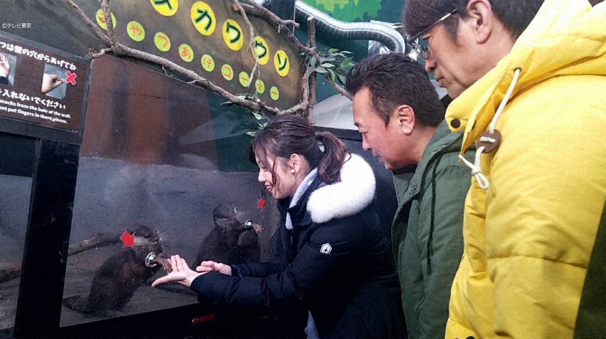Tvhテレビ北海道 12 29 日 の モヤモヤさまぁ ず2 スペシャル は真冬の北海道で小樽 札幌をブラブラします 猛吹雪の小樽でのモヤモヤ雪合戦や不思議な館長がいる古道具資料館 Ufoに乗った奇跡のご主人など北海道のモヤモヤpointに注目 放送は Tvhテレビ北海道 12 29 日 の モヤモヤさまぁ ず2 スペシャル は真冬の北海道で小樽 札幌をブラブラします 猛吹雪の小樽でのモヤモヤ雪合戦や不思議な館長がいる古道具資料館 Ufoに乗った奇跡のご主人など北海道のモヤモヤpointに注目 放送は