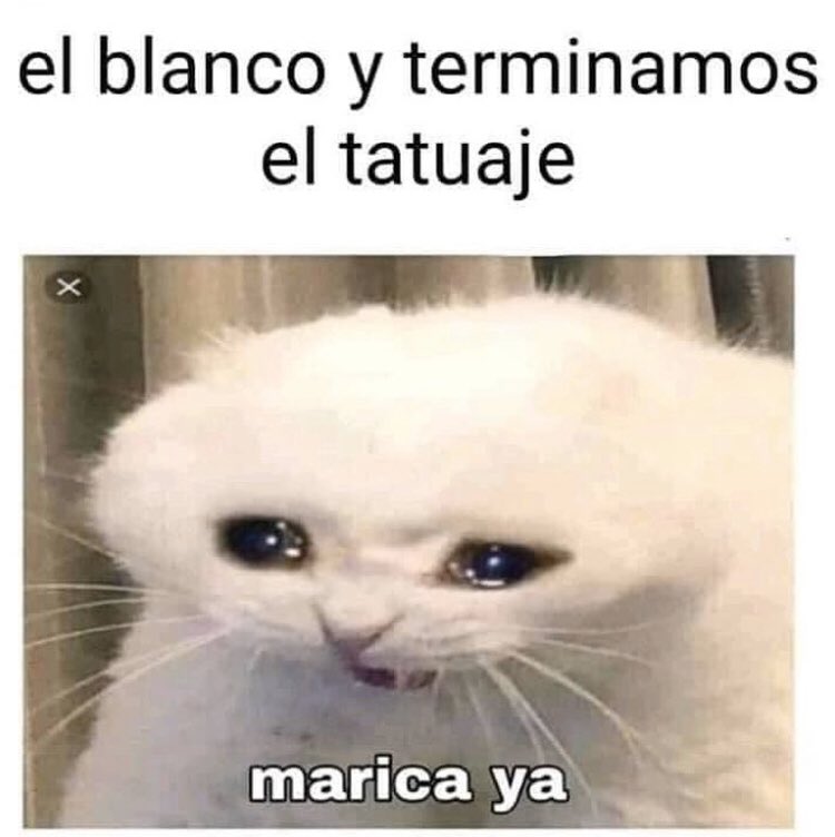 profesorflavio1's tweet photo. 🥺🥺🥺 https://t.co/7ssXFI2ecB