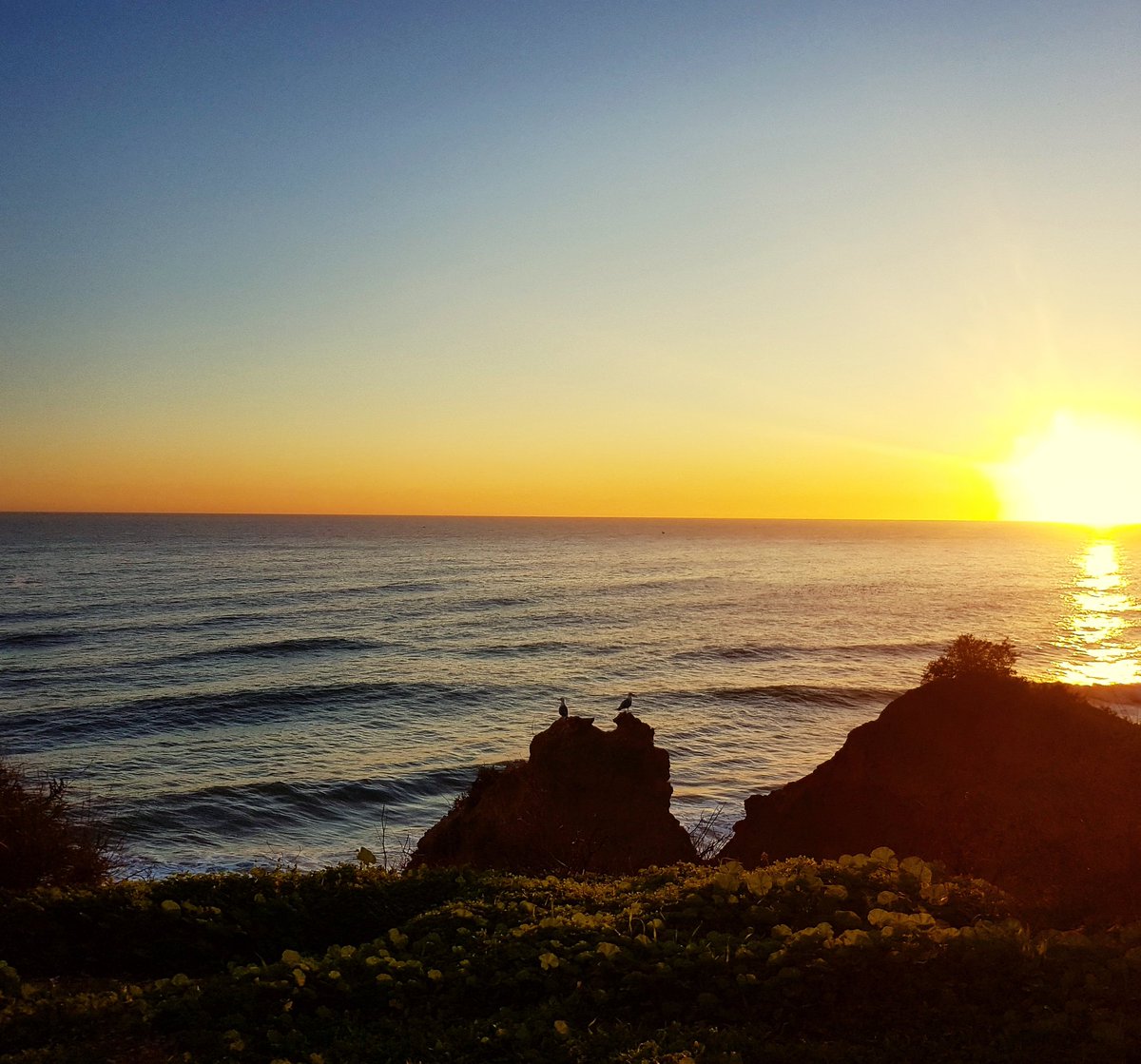 MariaPradolive's tweet photo. Sueste #sueste #landscapephotography #algarve #potugal #sunset #waves #Surf https://t.co/URqwbfKZ1u