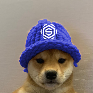 SubZeroEsport's tweet image. #dogwifhatgang #IceIsCold ❄️ The boys are back from break and ready to grind