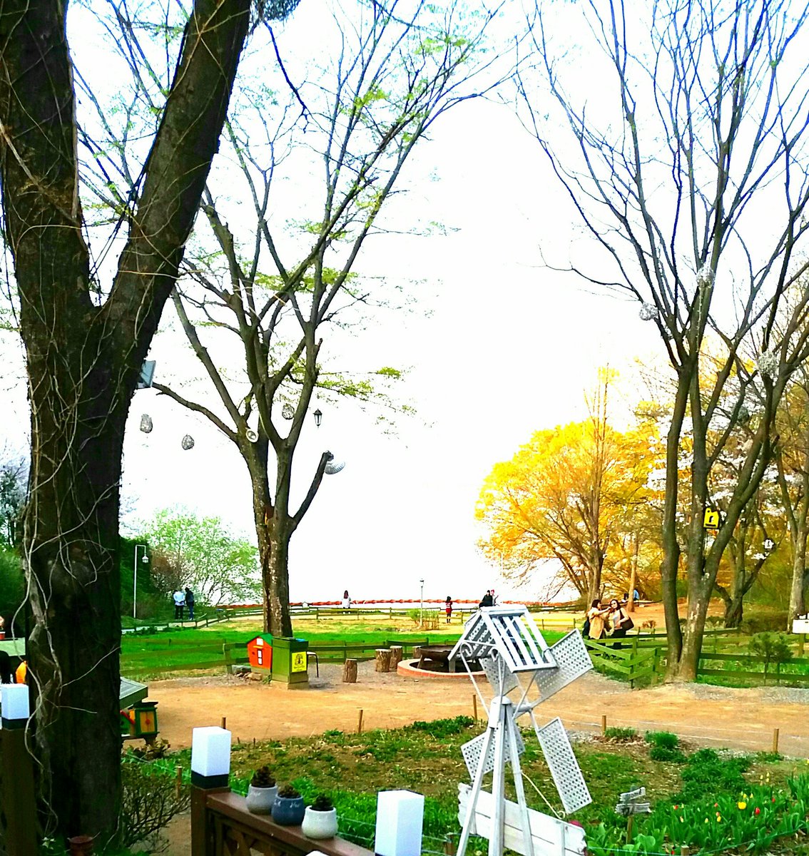 한장남은 올해의
달력을 새해달력으로
바꾸어 달때쯤엔
더도덜도말고
삼백예순날의 노력만큼
만면에 웃음 가득했으면 좋겠다
다섯날의 부족한
부분은
판도라의 상자에서
나오지못한
희망되어 내년을 기약하며
칠흙의밤을 다리끌며
걷던 미혹의
괴로움도
갈피모를 길에서
방황하던 번뇌의 얽매임도..