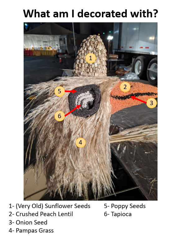 LCFloat's tweet photo. Curious about some of the decorating materials used on the float? Here are guides to the dry materials used on two of our birds. We'll show off some other feathered friends as they get closer to being finished. #RoseParade #LCFTRA #DodoBirdFlightSchool https://t.co/whnohQUoKp