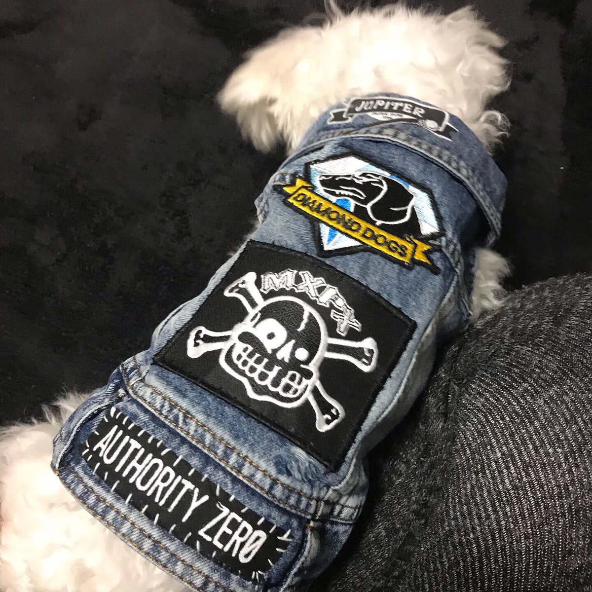Psychoman_is_me's tweet photo. I made DOG patch vest🐶Let's Go circle pit🌀
You'r punk dog!!
I Love you!!!!!!
夜更かしして…
JUPITER
(ゆぴてる)
のG-ベストを完成させたぜ!!
かなりカワイイ😍
早く着せて散歩に行きたい♪
左回りしようぜ〜ゆぴ❤
#punkdog
#myfamily
#patchvest
#gベスト
#mxpx
#diamonddogs https://t.co/9L36lshRHp