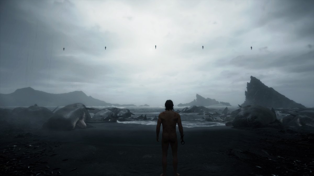 Fakhra✨ فاخرة tweet media