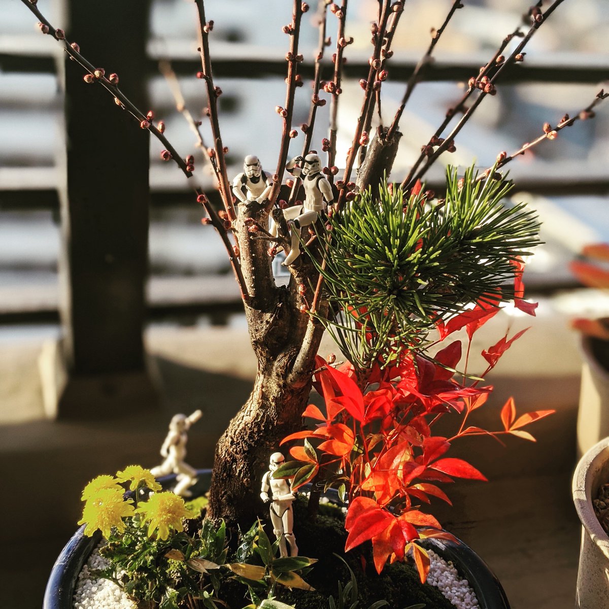 Sabo_Smith's tweet image. 強引な使命感の結果　#stromtrooper