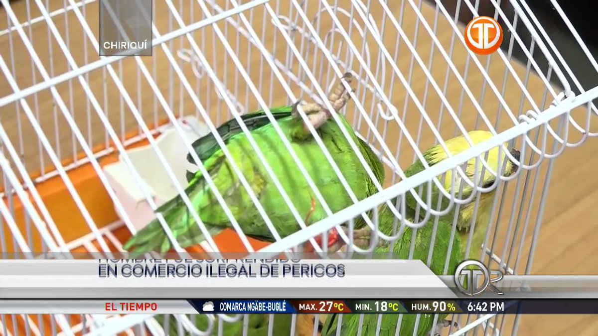 Telemetro Reporta tweet media