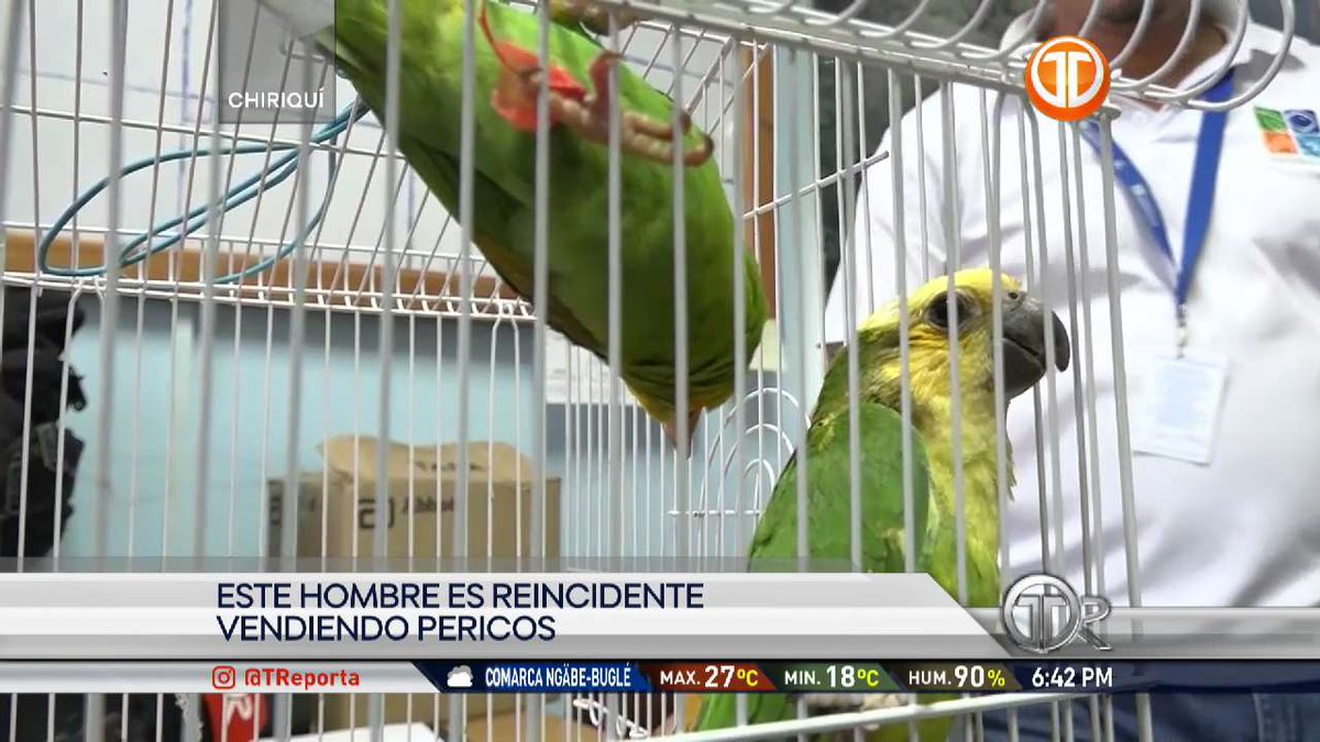 Telemetro Reporta tweet media