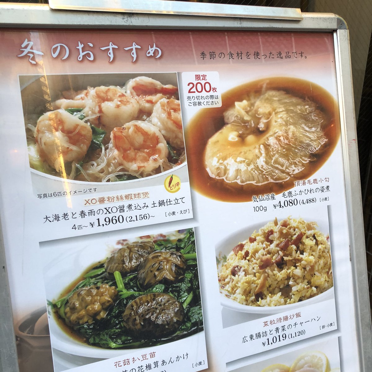Panda Town على تويتر 先日 中華街を挨拶周りで一周 パッと目についた菜香新館の冬のおすすめメニュー 限定0枚の毛鹿ふかひれの姿煮 100 G4000円はチョット安い サービス品かな 菜香では食べたことないですが毛鹿は一度試してみる価値あり 中華街 横浜