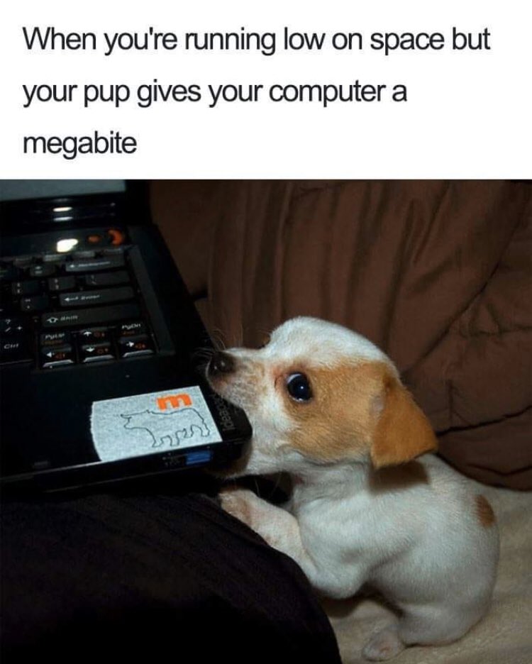 WholesomeMeme's tweet photo. https://t.co/tJxUoNCxSY