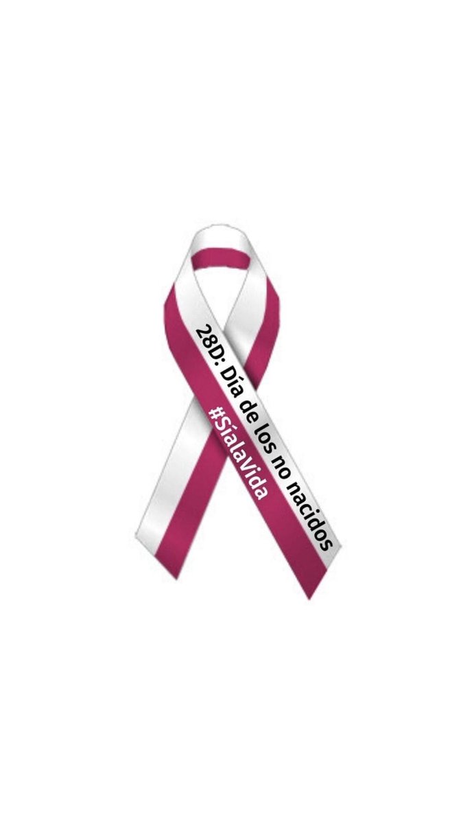 almademujer2's tweet photo. Hoy es el día de los Santos Inocentes... Hoy rezamos por la vida, por todos los niños no nacidos y todos los que están en riesgo de no nacer... Hoy decimos "Sí a la Vida"
#conVdeVida
#rezaporlavida
#28DConVdeVida
#YorezoporlaVida https://t.co/tZfimpOLfn