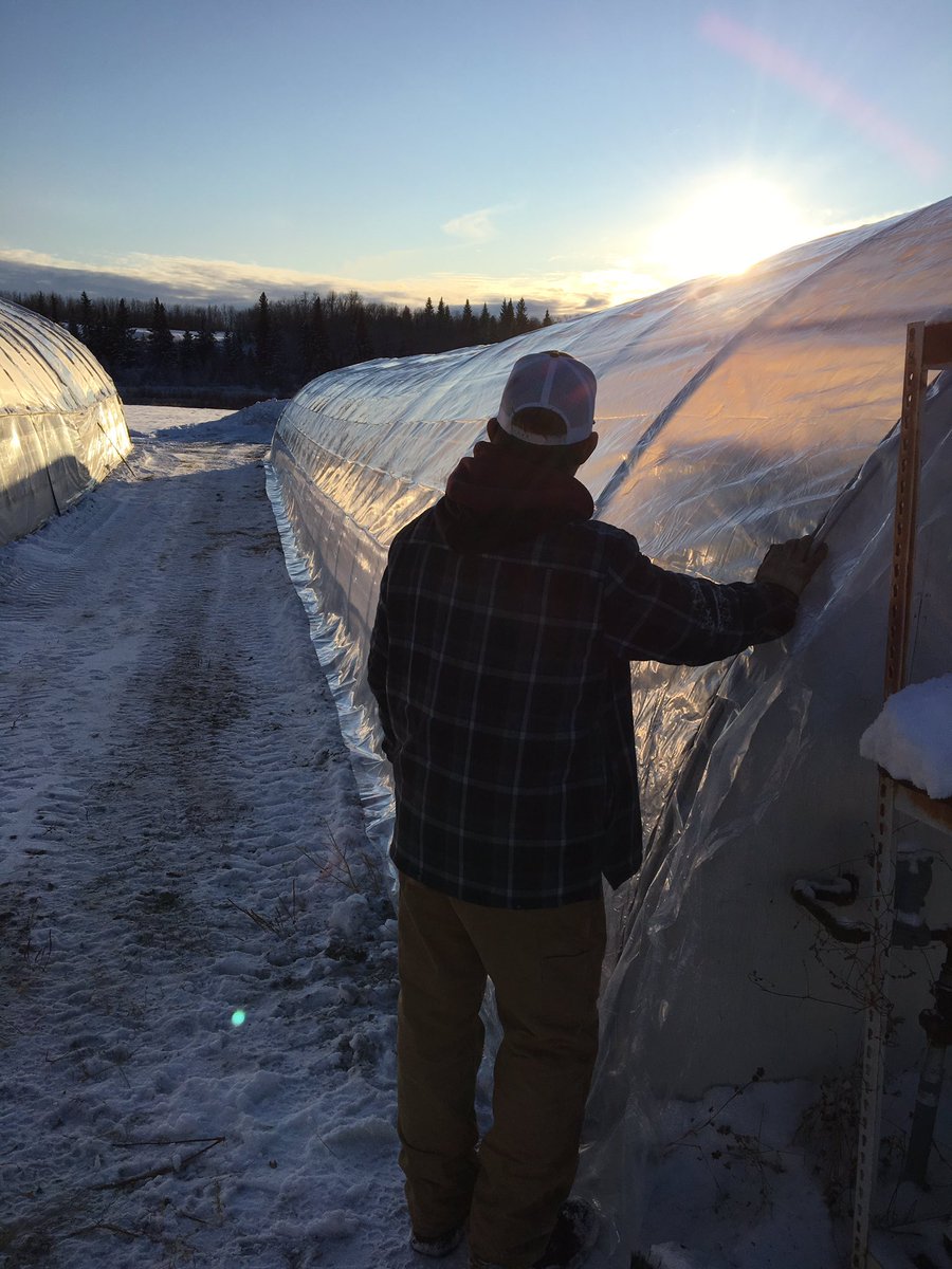 erdmannsgardens's tweet image. Beautiful day to start replacing greenhouse poly. A good crew makes all the difference. Thanks  guys. #gettingreadyfor2020 #springscoming #westlockcounty