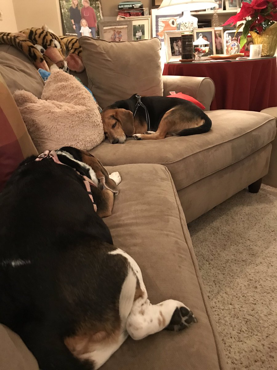 This Christmas celebrating is tough stuff 😴😴