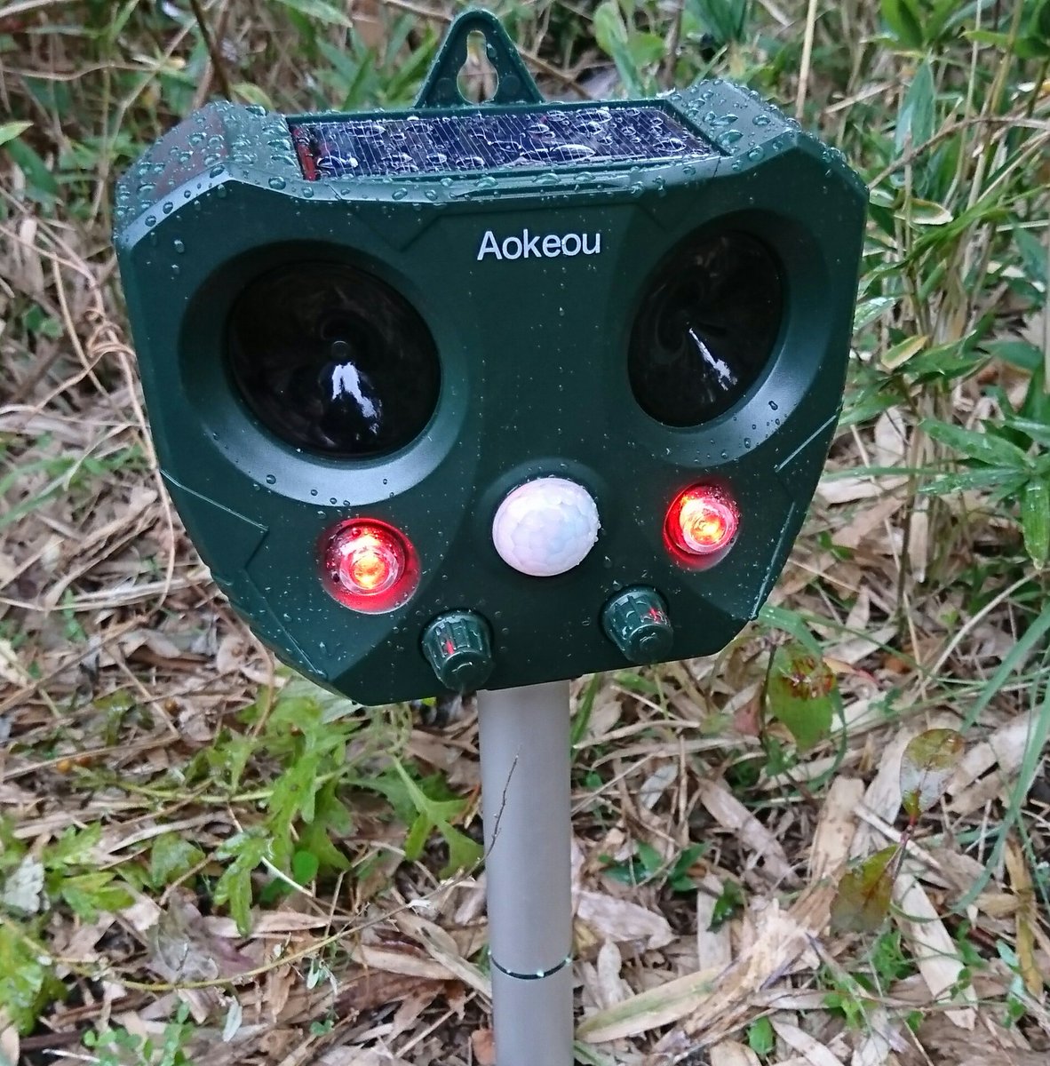 mariorimoto's tweet photo. 庭にハクビシンが毎晩来ているみたいなので、撃退機器を先週購入。特殊な周波数やストロボ発光で撃退するようになっていて、効果はいまのところでている様子。一昨日、家人が昼間たぬきを見た、と言っていたのでハクビシンではなく、たぬきなのかも。 https://t.co/q3bOrmMU2W