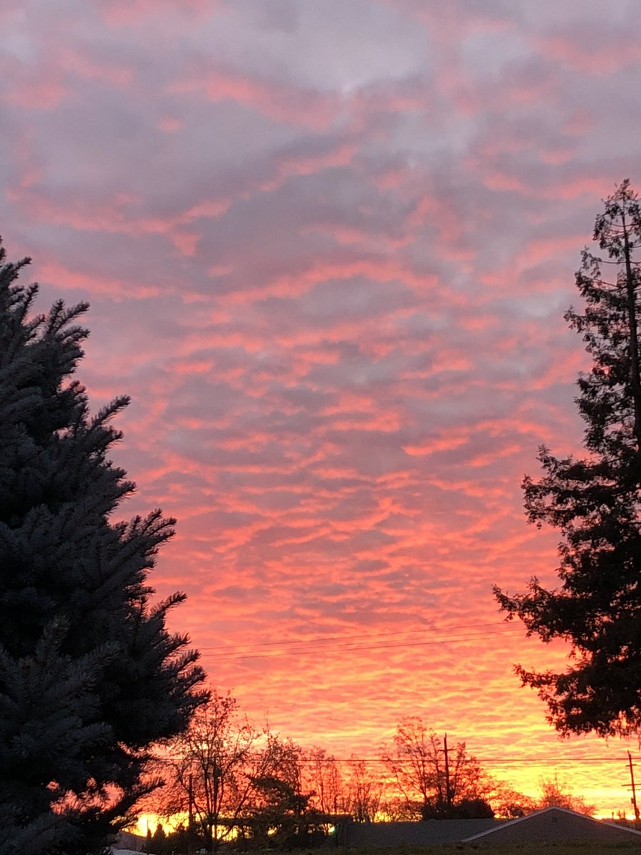 AntiqueTime's tweet photo. Do Do Do Lookin Out My Back Door. Beautiful red sunset this evening. #Medford #Oregon #RedIsRight #OregonWeather @BieBie_Ying @MojaveSunset @SeawayNNY https://t.co/5o2KnPZRPX