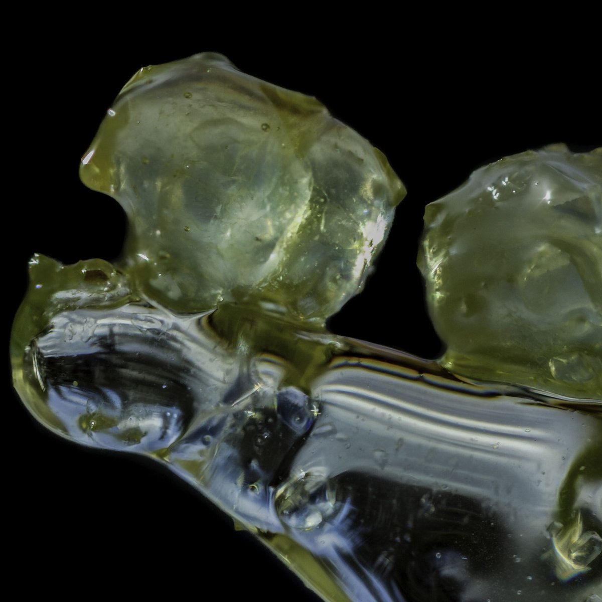 Sticky Papaya takes you to a warm island 🏝️ ☀️ 
.
.
.
.
.
#dabolio #olio #dabolio710 #olio710 #hash #cannabis #cannabiscommunity #cannabisphotography #hash #concentrates #710 #oil #wax #dabs #terps #terpenes #macro #denver #colorado #topshelf #quality